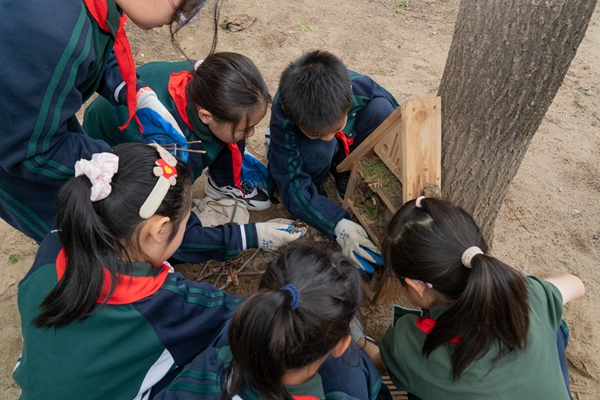 青少年参与生态文明实践课程。北京林业大学供图