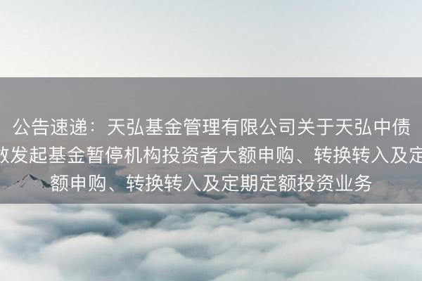 公告速递：天弘基金管理有限公司关于天弘中债1-3年国开债指数发起基金暂停机构投资者大额申购、转换转入及定期定额投资业务