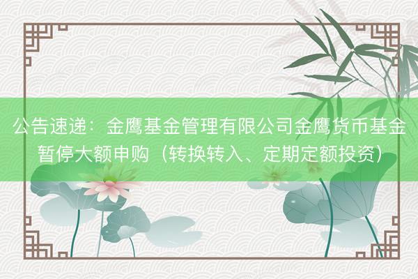 公告速递：金鹰基金管理有限公司金鹰货币基金暂停大额申购（转换转入、定期定额投资）