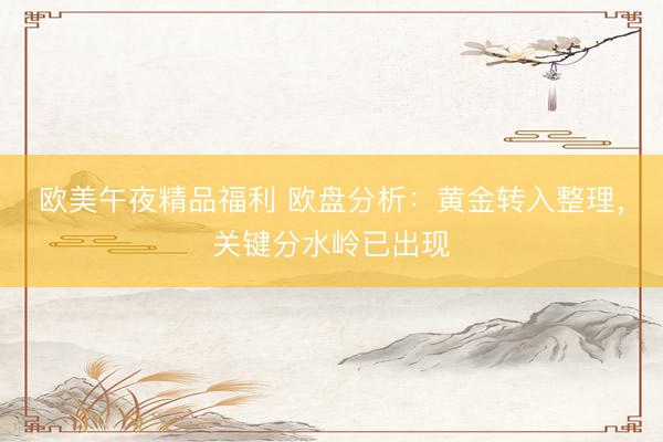欧美午夜精品福利 欧盘分析：黄金转入整理，关键分水岭已出现