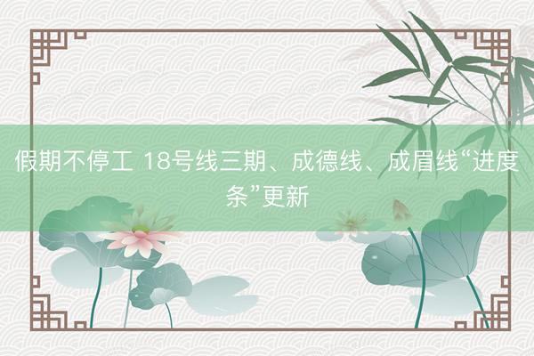 假期不停工 18号线三期、成德线、成眉线“进度条”更新