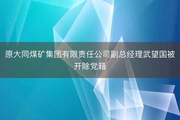 原大同煤矿集团有限责任公司副总经理武望国被开除党籍