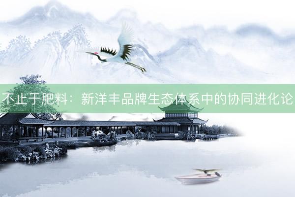 不止于肥料：新洋丰品牌生态体系中的协同进化论