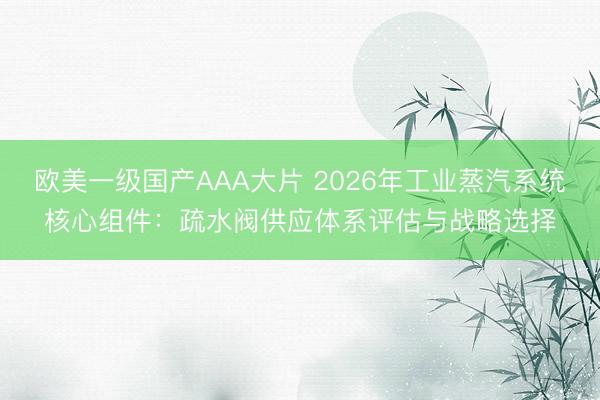 欧美一级国产AAA大片 2026年工业蒸汽系统核心组件：疏水阀供应体系评估与战略选择