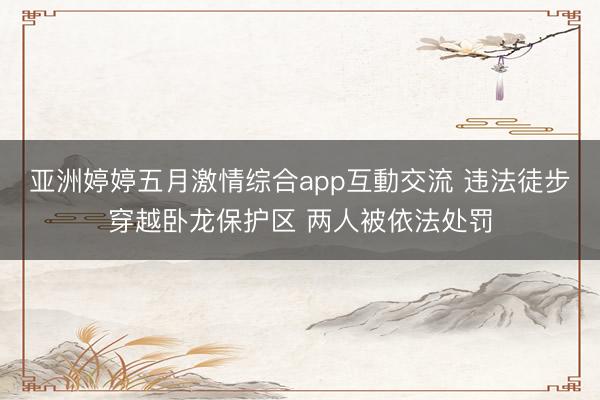 亚洲婷婷五月激情综合app互動交流 违法徒步穿越卧龙保护区 两人被依法处罚