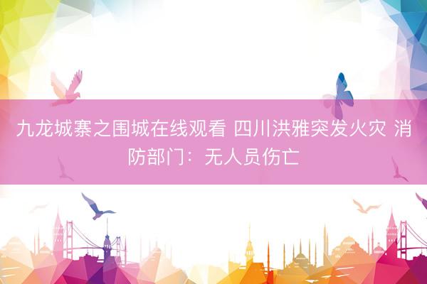 九龙城寨之围城在线观看 四川洪雅突发火灾 消防部门：无人员伤亡