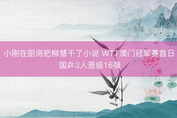小刚在厨房把柳慧干了小说 WTT澳门冠军赛首日 国乒3人晋级16强