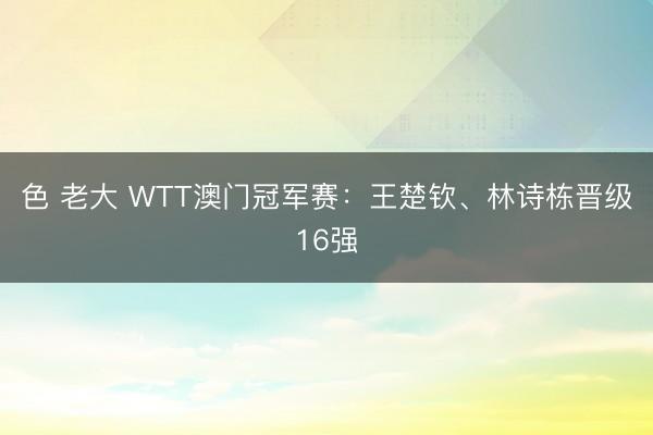 色 老大 WTT澳门冠军赛：王楚钦、林诗栋晋级16强