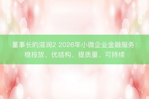 董事长的滋润2 2026年小微企业金融服务：稳投放、优结构、提质量、可持续
