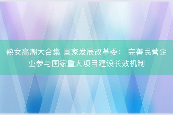 熟女高潮大合集 国家发展改革委： 完善民营企业参与国家重大项目建设长效机制