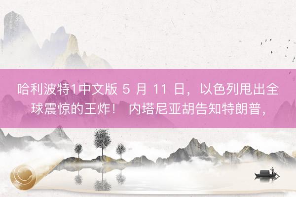 哈利波特1中文版 5 月 11 日，以色列甩出全球震惊的王炸！ 内塔尼亚胡告知特朗普，