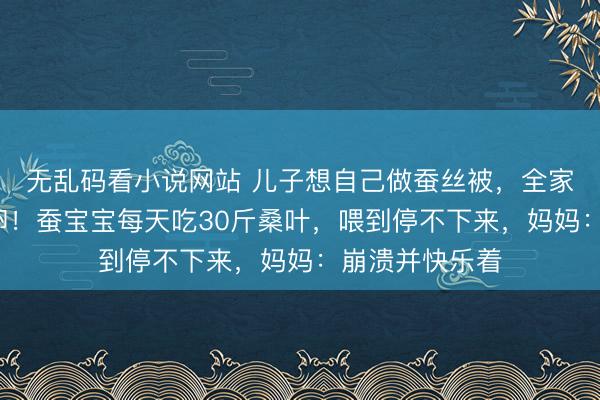 无乱码看小说网站 儿子想自己做蚕丝被，全家网购1万粒蚕卵！蚕宝宝每天吃30斤桑叶，喂到停不下来，妈妈：崩溃并快乐着
