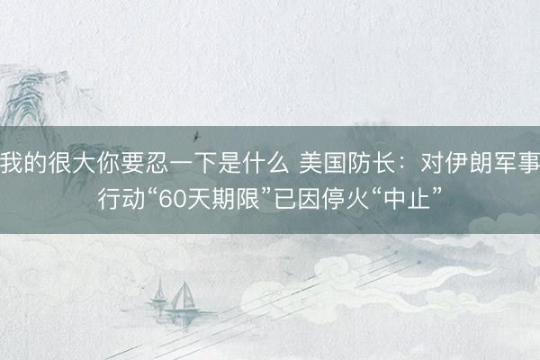 我的很大你要忍一下是什么 美国防长：对伊朗军事行动“60天期限”已因停火“中止”