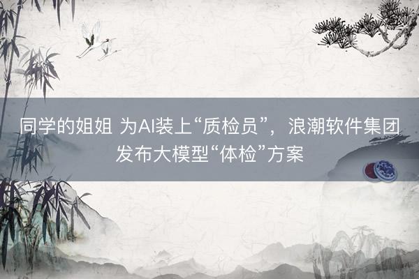 同学的姐姐 为AI装上“质检员”，浪潮软件集团发布大模型“体检”方案