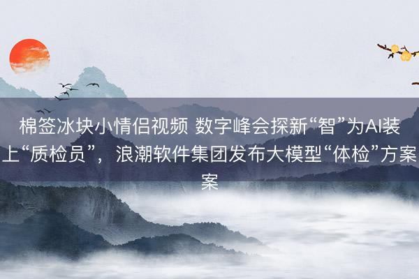 棉签冰块小情侣视频 数字峰会探新“智”为AI装上“质检员”，浪潮软件集团发布大模型“体检”方案