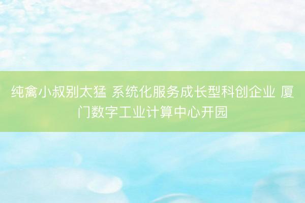 纯禽小叔别太猛 系统化服务成长型科创企业 厦门数字工业计算中心开园