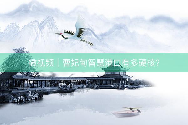 微视频｜曹妃甸智慧港口有多硬核？