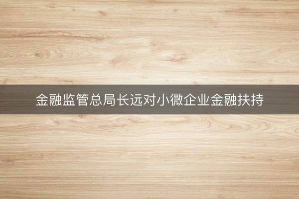 金融监管总局长远对小微企业金融扶持