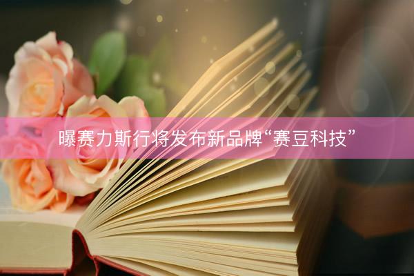 曝赛力斯行将发布新品牌“赛豆科技”
