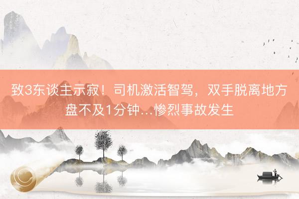 致3东谈主示寂！司机激活智驾，双手脱离地方盘不及1分钟…惨烈事故发生