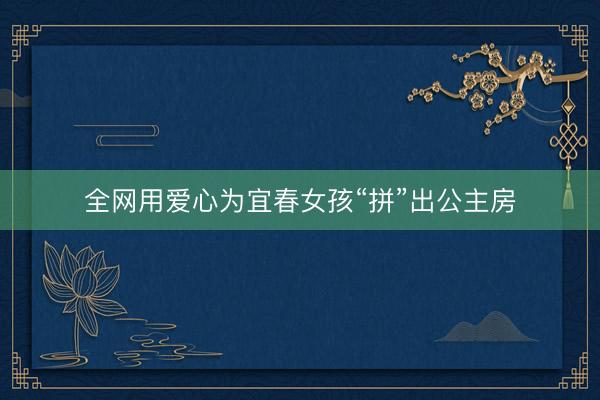 全网用爱心为宜春女孩“拼”出公主房