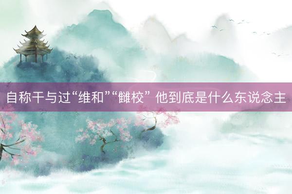 自称干与过“维和”“雠校” 他到底是什么东说念主