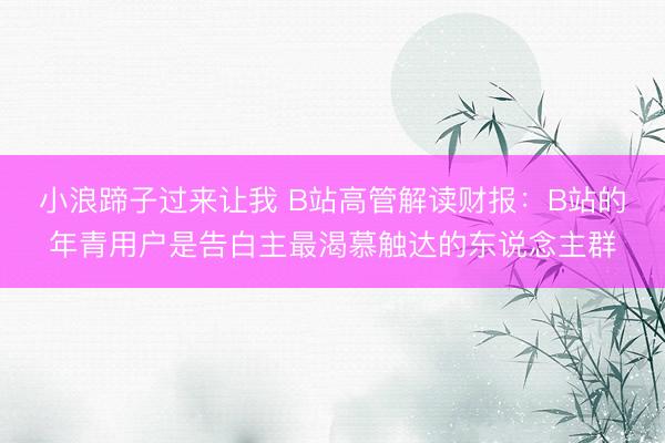 小浪蹄子过来让我 B站高管解读财报:B站的年青用户是告白主最渴慕触达的东说念主群