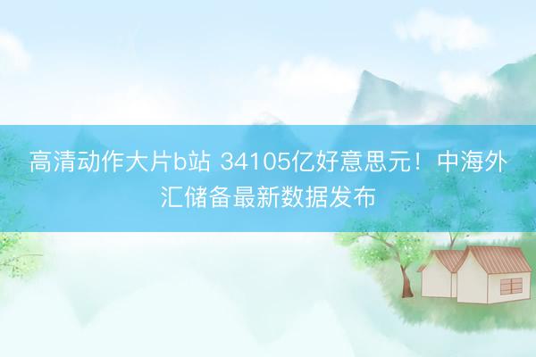 高清动作大片b站 34105亿好意思元！中海外汇储备最新数据发布