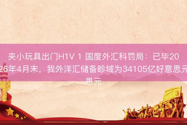 夹小玩具出门H1V 1 国度外汇科罚局：已毕2026年4月末，我外洋汇储备畛域为34105亿好意思元