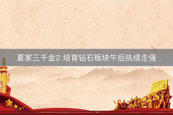 夏家三千金2 培育钻石板块午后执续走强