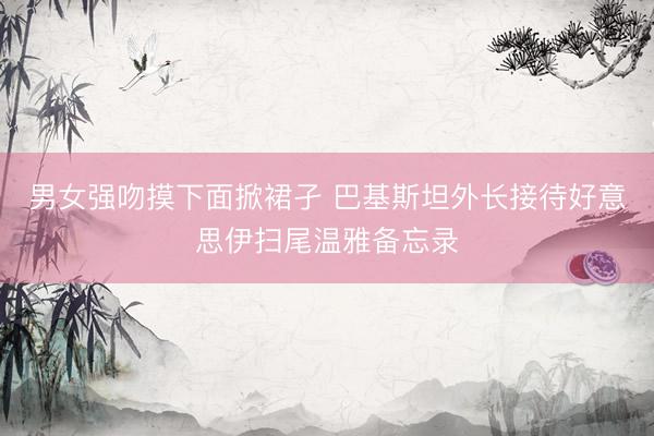 男女强吻摸下面掀裙孑 巴基斯坦外长接待好意思伊扫尾温雅备忘录